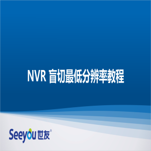 3118云顶集团 NT NVR盲切最低分辨率教程