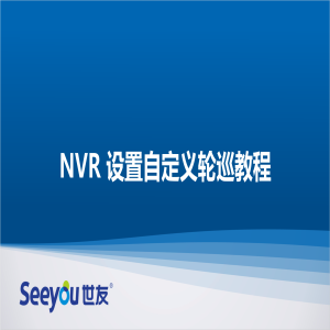 3118云顶集团 NT NVR设置自定义轮巡教程