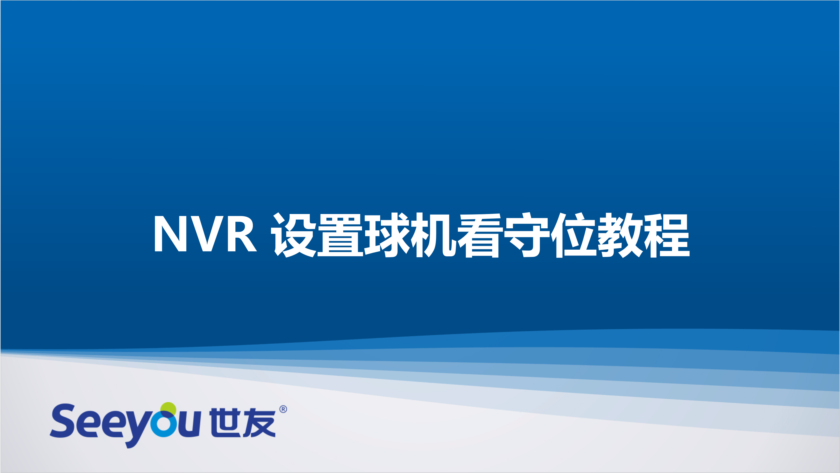 3118云顶集团NT NVR设置球机看守位教程